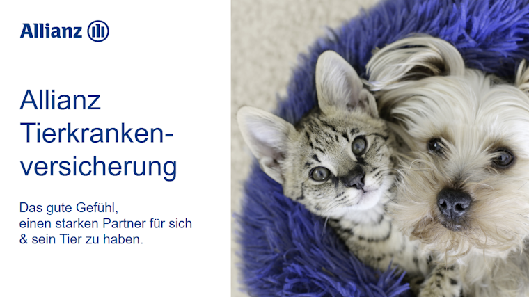 Werbeanzeige der Allianz für die Tierkrankenversicherung, wie sie während der Berechnung im Sachvergleichsrechner eingeblendet wird