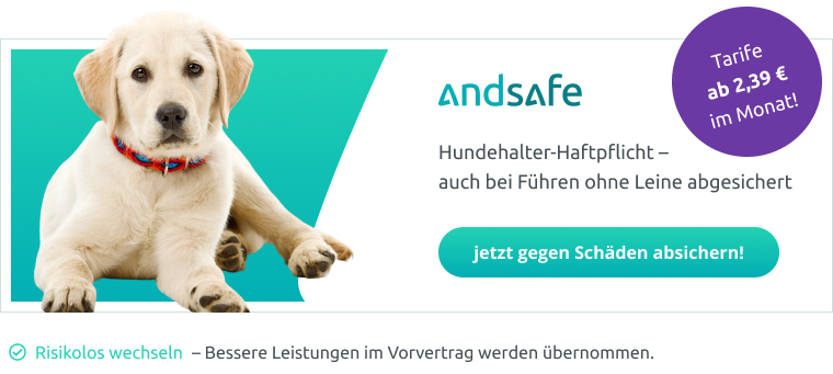 andsafe_tie_062022